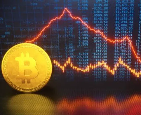 Wealth Koryx - Enhance Your Trading Abilities with Wealth Koryx